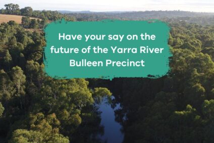 Have your say on future of the Yarra’s Bulleen Precinct